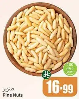صنوبر