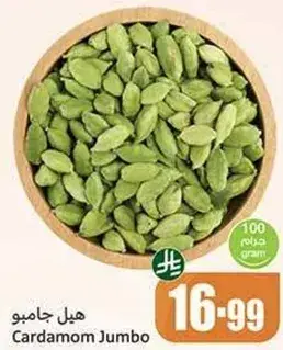 Cardamom Jumbo