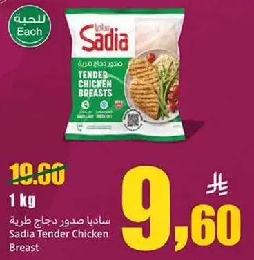 صدور دجاج سايديا