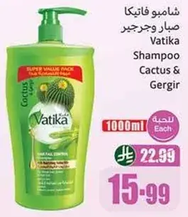 شامبو فاتيكا صبار وجرجير
