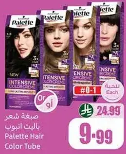 Palette Hair Color Tube