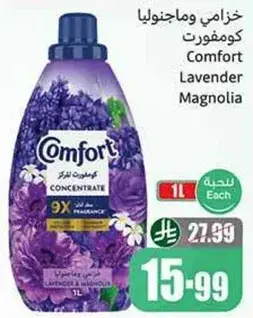كمفورت لافندر ماغنوليا