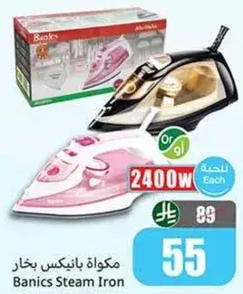 Banics Steam Iron