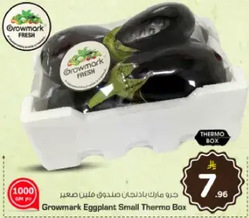 حبه مارت باذنجان صندوق ملين صغير