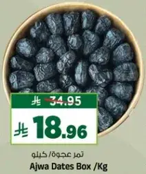 تمر عجوه / كيلو