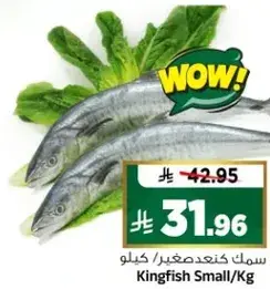 Kingfish Small/Kg