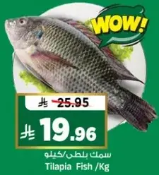 Tilapia Fish/Kg