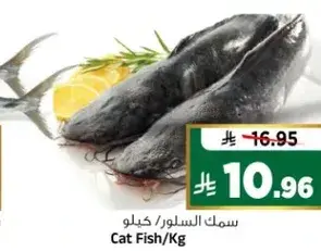 سمك السلور/كيلو