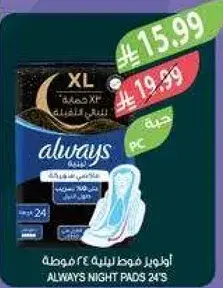 اولويز فوط ليليه 24 قطعه