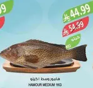 Hamour medium fish, 1 kg.