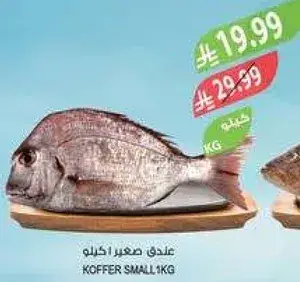 Koffer Small 1kg