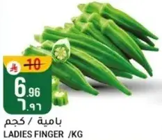 LADIES FINGER /KG