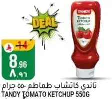 Tandy Tomato Ketchup 550g