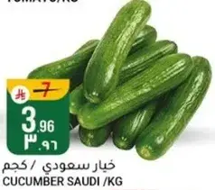 Cucumber Saudi / KG