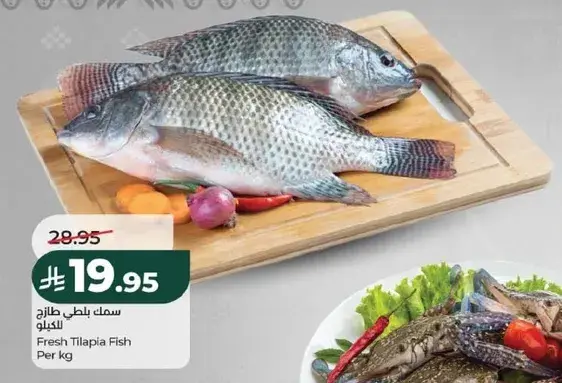 Fresh Tilapia Fish