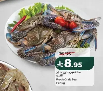 سلطون بحري طازج