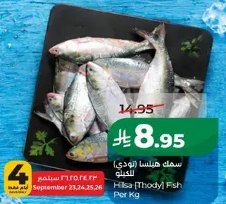 Hilsa (Thody) Fish Per Kg
