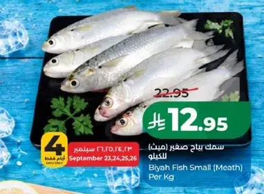 Biyah Fish Small (Meat) Per Kg