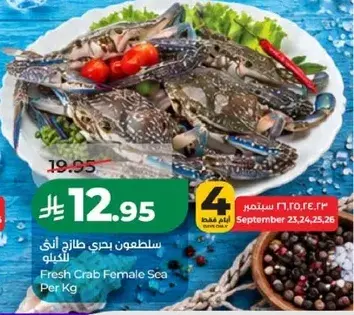 Fresh Crab Female Sea Per Kg
