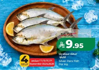 Silver Para Fish Per Kg
