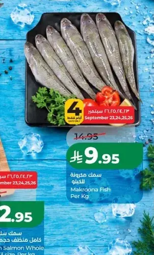 Makroona Fish Per Kg
