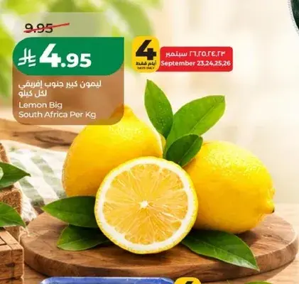 Lemon Big South Africa Per Kg