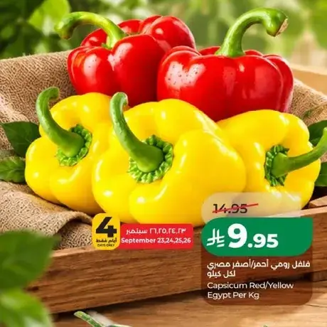 Capsicum Red/Yellow Egypt Per Kg
