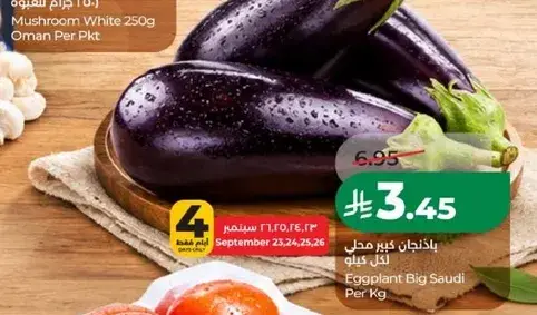 Eggplant Big Saudi Per Kg