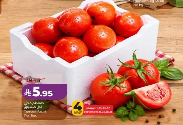 Tomato Saudi Per Box