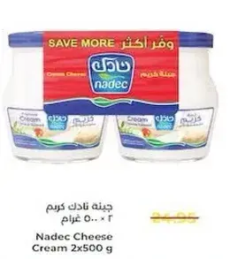 جبنه نادك كريم 2×500 غرام