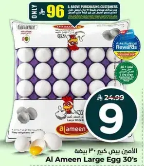 Al Ameen Large Egg 30's