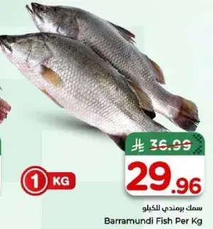 Barramundi Fish Per Kg