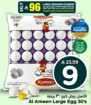 Al Ameen Large Egg 30's