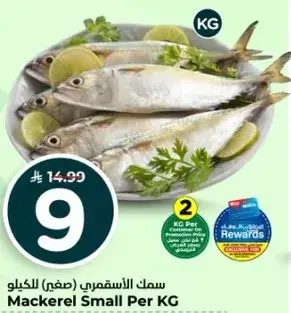 Mackerel Small Per KG