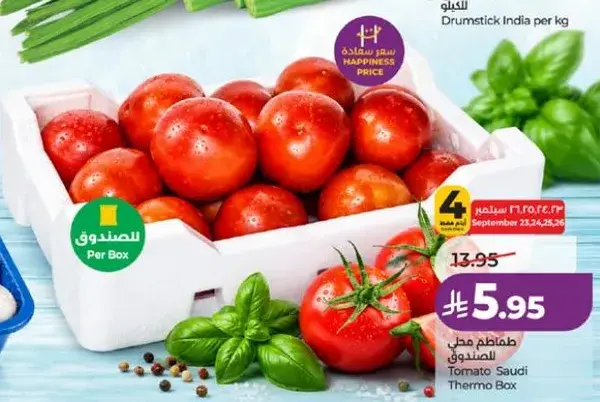 Tomato Saudi Thermo Box