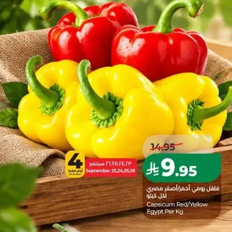 Capsicum Red/Yellow Egypt Per Kg