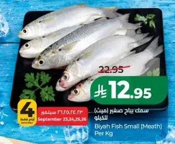 Biyah Fish Small (Meath) Per Kg