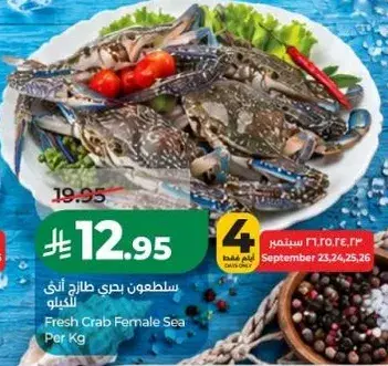 سلطعون انثي طازج
