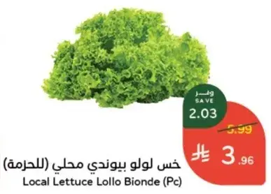 خس لولو بوندي محلي (الحزمه)