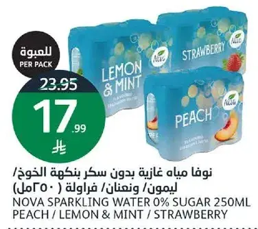 نوفا مياه غازيه بدون سكر بنكهه الليمون ونعناع/خوخ/فراوله (250 مل)