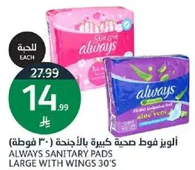 اولويز فوط صحيه كبيره بالاجنحه (30 قطعه)