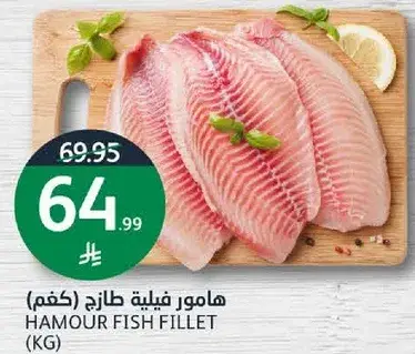 Hamour fish fillet