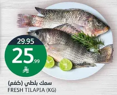 Fresh Tilapia (kg)