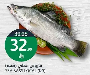 Sea Bass Local (kg)