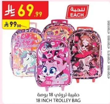 18 inch trolley bag with fun designs.