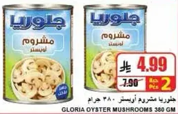 Gloria Oyster Mushrooms 380 gm