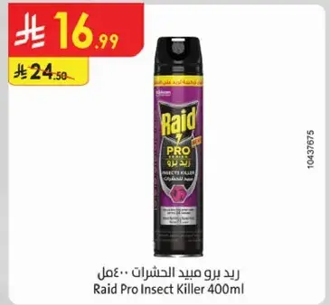 Raid Pro Insect Killer 400ml