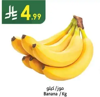 موز / كيلو
