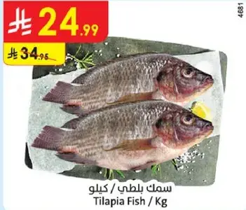 Tilapia Fish / Kg