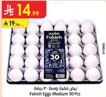 بيض فقيه وسط 30 بيضه